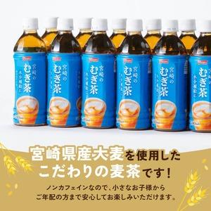 ふるさと納税 サンA 宮崎のむぎ茶 500ml...の詳細画像1