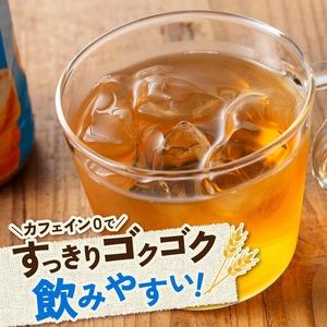 ふるさと納税 サンA 宮崎のむぎ茶 500ml...の詳細画像2