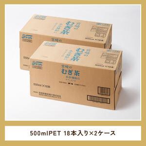 ふるさと納税 サンA 宮崎のむぎ茶 500ml...の詳細画像3