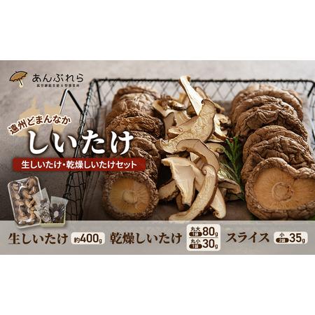 ふるさと納税 【遠州どまんなかしいたけ】 生しいたけ・乾燥しいたけセット (生しいたけ 約400g ...