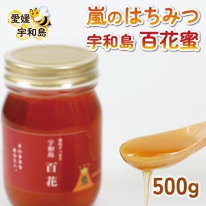 ふるさと納税 国産蜂蜜 500g みつばち屋嵐 国産蜂蜜 F010-129002 愛媛県宇和島市