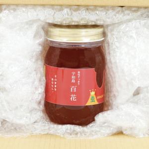 ふるさと納税 国産蜂蜜 500g みつばち屋嵐...の詳細画像1