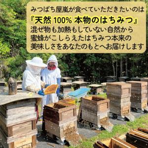 ふるさと納税 国産蜂蜜 500g みつばち屋嵐...の詳細画像2