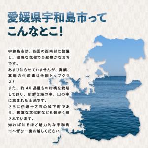 ふるさと納税 国産蜂蜜 500g みつばち屋嵐...の詳細画像4