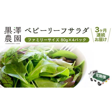 ふるさと納税 【 定期便 】3か月連続でお届け！ 黒澤農園 の ベビーリーフサラダ （ 80g × ...