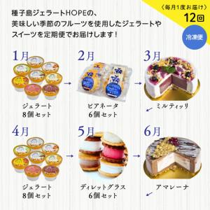 ふるさと納税 ジェラート定期便12回 鹿児島県...の詳細画像1