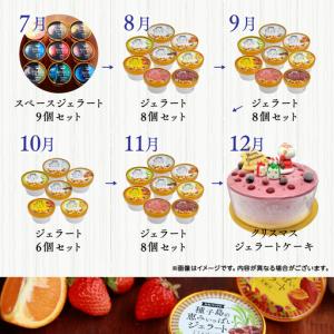 ふるさと納税 ジェラート定期便12回 鹿児島県...の詳細画像2