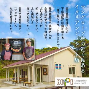 ふるさと納税 ジェラート定期便12回 鹿児島県...の詳細画像3