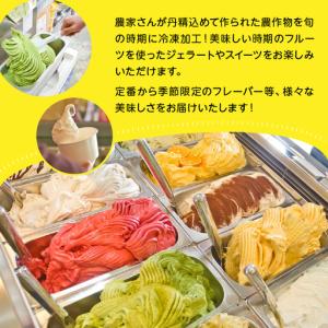 ふるさと納税 ジェラート定期便12回 鹿児島県...の詳細画像4