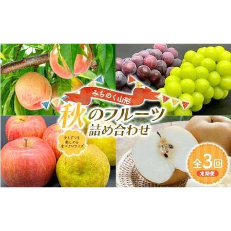 ふるさと納税 【先行予約2026年発送】みちのく山形 1回に2品種お届け 秋のフルーツ詰め合わせ 少...