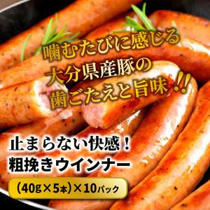 ふるさと納税 粗挽き ウインナー ソーセージ ...の詳細画像1