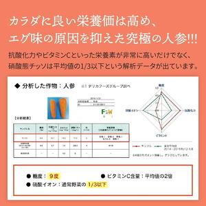ふるさと納税 【定期便12ヶ月(全12回)】1...の詳細画像4