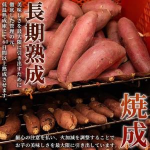 ふるさと納税 期間限定 紅はるかと安納芋の干し...の詳細画像1
