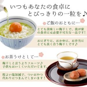 ふるさと納税 紀州産南高梅 梅干し しらら 5...の詳細画像3