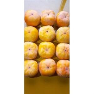 ふるさと納税 あきる野産 次郎柿 2kg【16...の詳細画像1