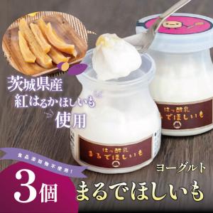 ふるさと納税 【TVで紹介!】ヨーグルト 筑波ハ...の商品画像