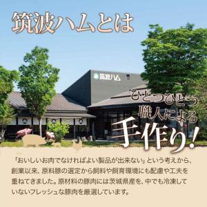ふるさと納税 【TVで紹介!】ヨーグルト 筑波...の詳細画像1