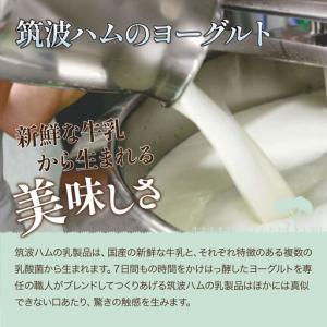 ふるさと納税 【TVで紹介!】ヨーグルト 筑波...の詳細画像2