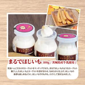 ふるさと納税 【TVで紹介!】ヨーグルト 筑波...の詳細画像3