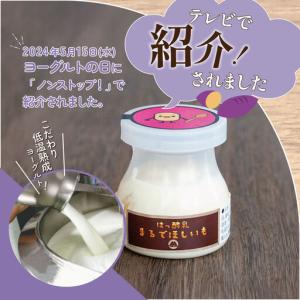 ふるさと納税 【TVで紹介!】ヨーグルト 筑波...の詳細画像4