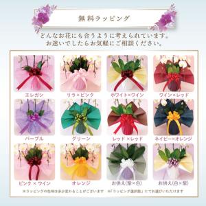 ふるさと納税 大輪胡蝶蘭 白10本立ち(ラッピ...の詳細画像3