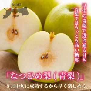 ふるさと納税 【先行予約】DS-01　なつひめ梨（５ｋｇ） 鳥取県大山町