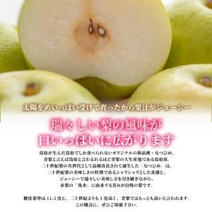 ふるさと納税 【先行予約】DS-01 なつひめ...の詳細画像1