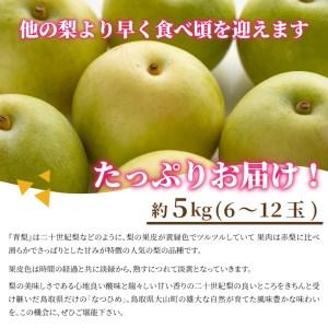 ふるさと納税 【先行予約】DS-01 なつひめ...の詳細画像3