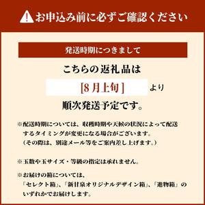 ふるさと納税 【先行予約】DS-01 なつひめ...の詳細画像4