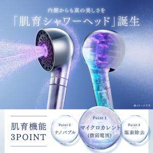 ふるさと納税 マイクロナノバブル シャワーヘッ...の詳細画像1