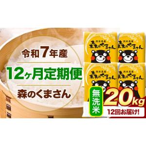 ふるさと納税 【12ヶ月定期便】令和7年産 無洗米 森のくまさん 20kg (5kg×4袋)《お申し込みの翌月から出荷》 熊本県産 無洗米 精米 米 こめ.. 熊本県御船町