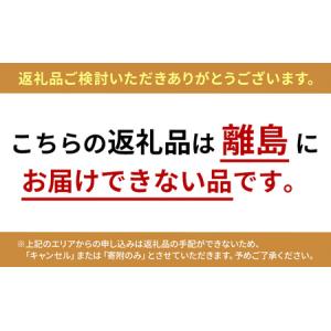 ふるさと納税 高圧洗浄機 FBN-601HG-...の詳細画像1