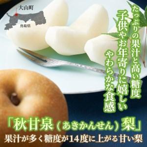 ふるさと納税 DS-04　秋甘泉梨（５ｋｇ） 鳥取県大山町