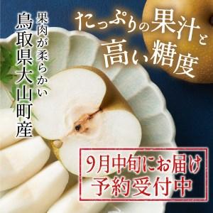 ふるさと納税 DS-04 秋甘泉梨(5kg) ...の詳細画像2