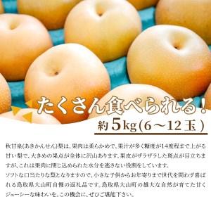 ふるさと納税 DS-04 秋甘泉梨(5kg) ...の詳細画像3