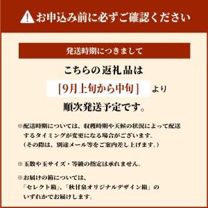 ふるさと納税 DS-04 秋甘泉梨(5kg) ...の詳細画像4
