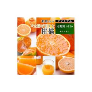 ふるさと納税 【1〜12月】柑橘 定期便 M【全12回】【和歌山】 ※北海道・沖縄・離島への配送不可 / 定期便 フルーツ はっさく せとか 不知火 .. 和歌山県広川町