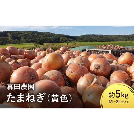 ふるさと納税 【2026年先行受付】富良野産 黄色 玉ねぎ 約5kg（約15〜20玉） M〜2Lサイ...