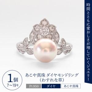 ふるさと納税 【ANNEREGARD】Pt あ...の詳細画像1