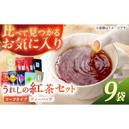 ふるさと納税 うれしの紅茶生産者USセット NAP007  佐賀県嬉野市