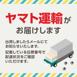 ふるさと納税 CELLZERO fuji 01...の詳細画像3