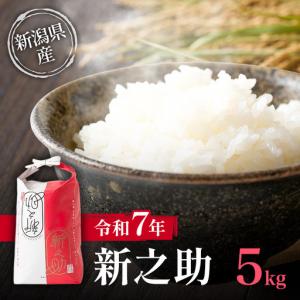 ふるさと納税 新之助 5kg 特別栽培米 新之助 新潟県産 希少 限定 新潟県上越市