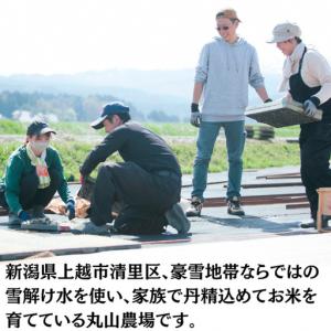 ふるさと納税 新之助 5kg 特別栽培米 新之...の詳細画像2
