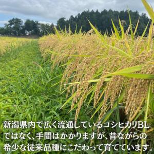 ふるさと納税 新之助 5kg 特別栽培米 新之...の詳細画像3