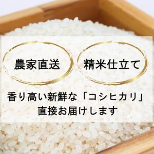 ふるさと納税 新之助 5kg 特別栽培米 新之...の詳細画像4