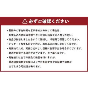 ふるさと納税 【年6回定期便】くまもとのフルー...の詳細画像2