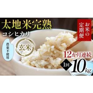 ふるさと納税 【先行予約】お米の定期便 農薬不使用米 太地米完熟 【こしひかり】 玄米10kg×12か月連続 ブランド米 お米 人気 F7X-0747 福島県須賀川市