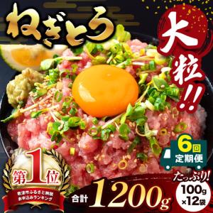 ふるさと納税 【定期便6回】ねぎとろ 1200g...の商品画像