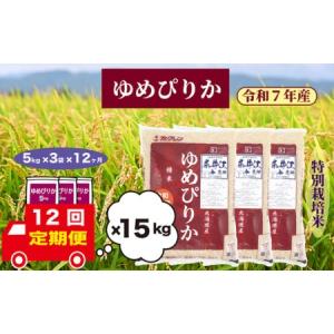 ふるさと納税 【定期便12回】北海道奈井江町　特別栽培米　ゆめぴりか　15kg 北海道奈井江町