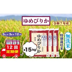 ふるさと納税 【定期便12回】北海道奈井江町　特別栽培米　ゆめぴりか　15kg【無洗米】 北海道奈井江町